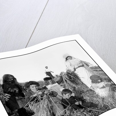 Harvesting, Isle of Man by George Bellett Cowen